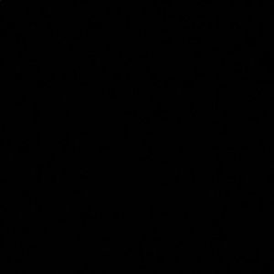 Meet your Posher, Donielle